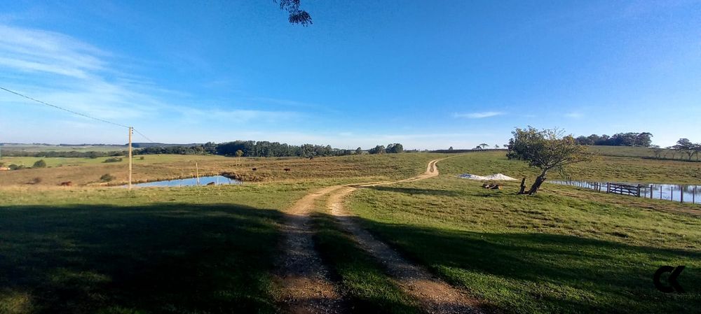 Fazenda, 7 hectares - Foto 16