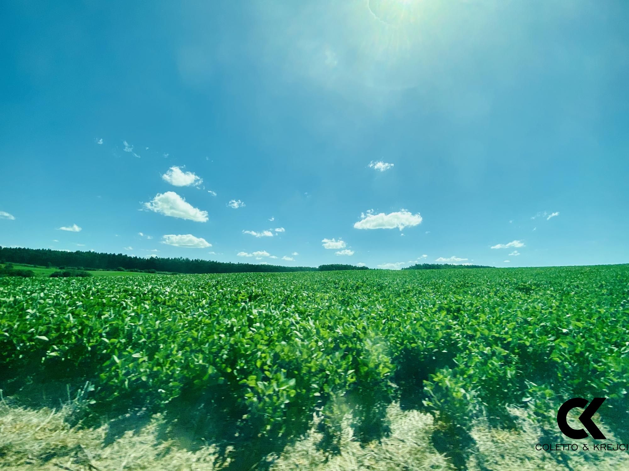 Fazenda à venda com 7 quartos, 8750000m² - Foto 4