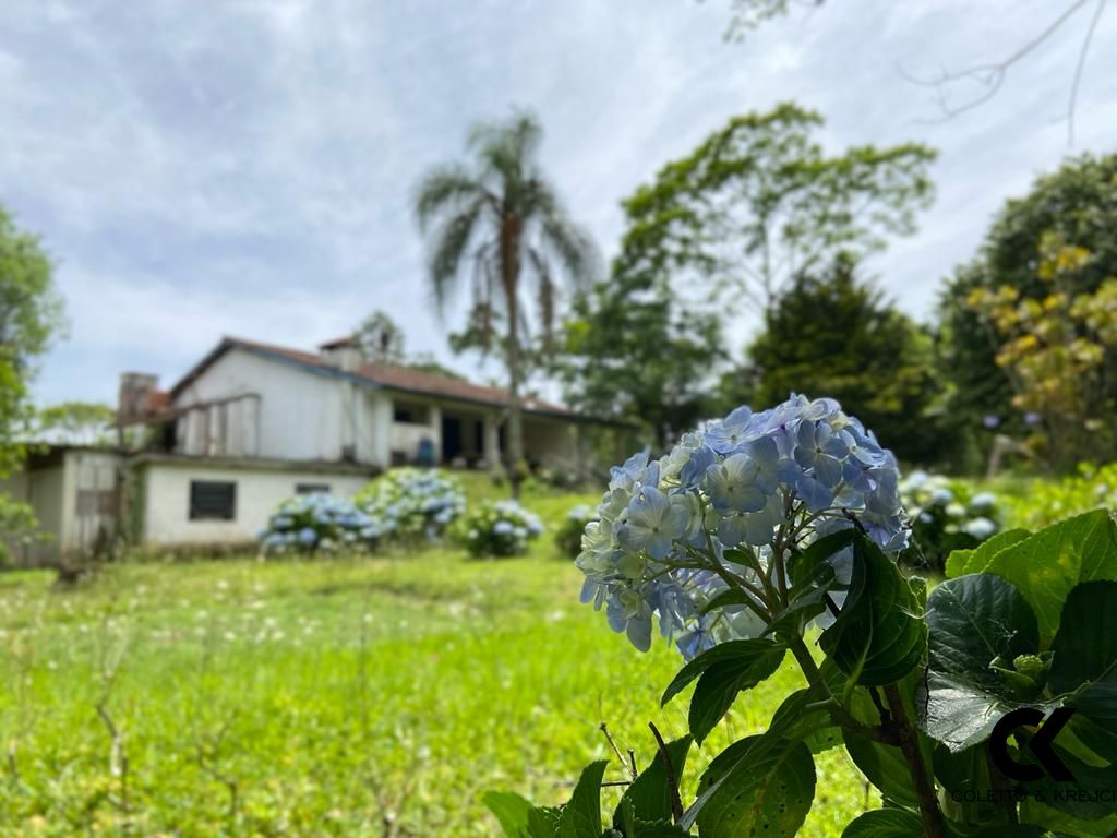 Fazenda à venda com 3 quartos, 120m² - Foto 1