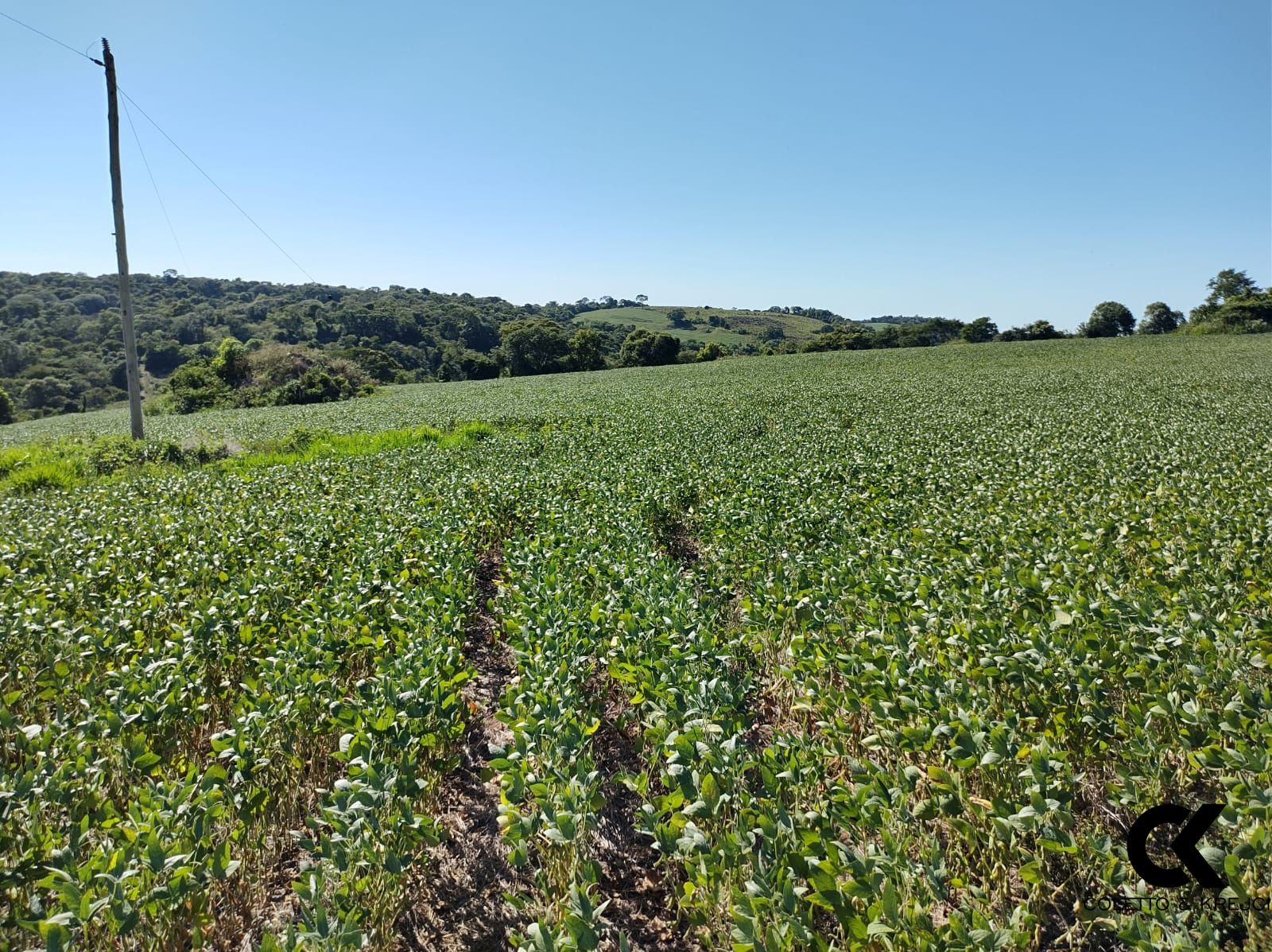 Loteamento e Condomínio à venda, 600000m² - Foto 2