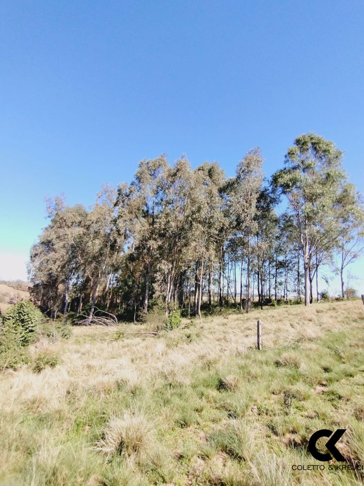 Sítio, 3 quartos, 1 m² - Foto 25