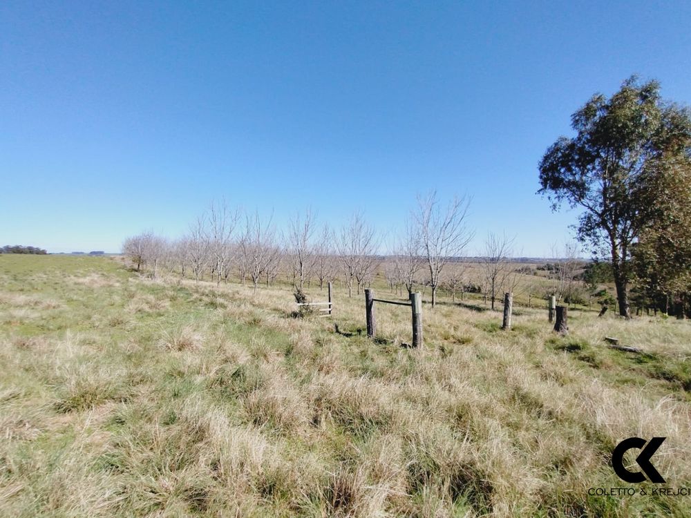 Sítio, 3 quartos, 1 m² - Foto 14