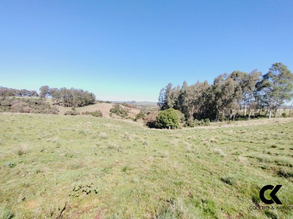 Sítio, 3 quartos, 1 m² - Foto 16