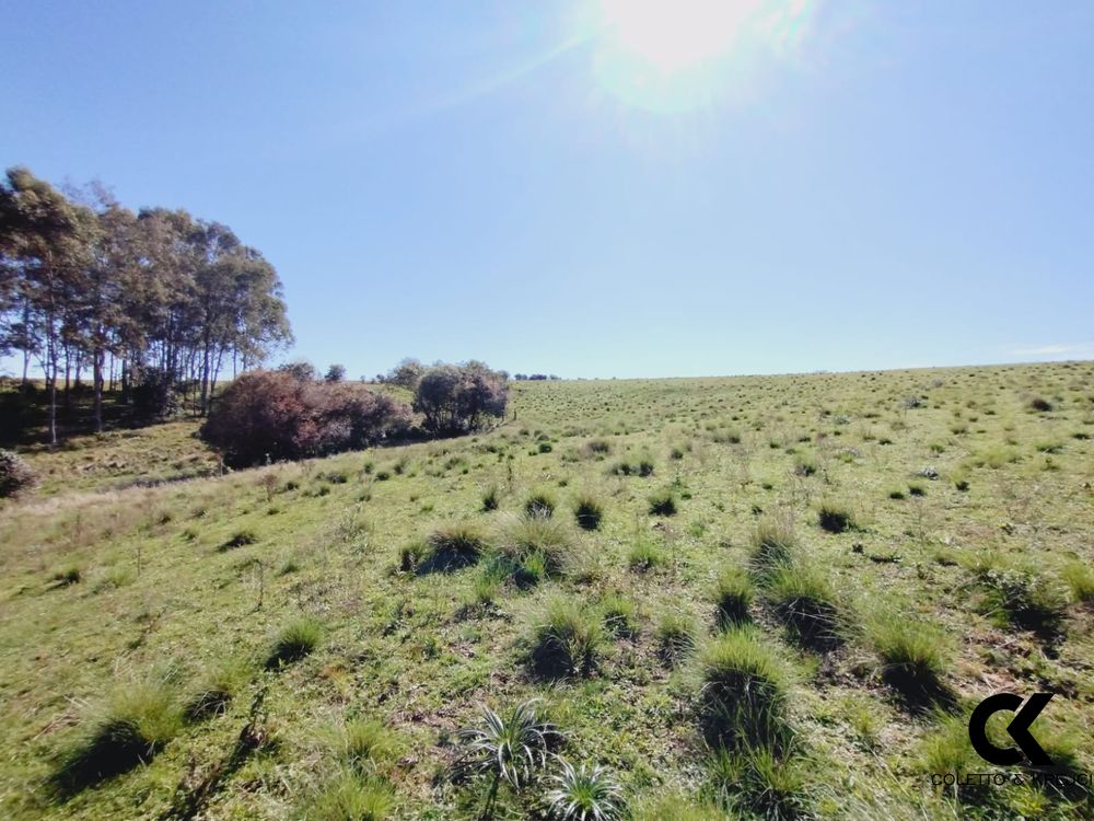 Sítio, 3 quartos, 1 m² - Foto 26