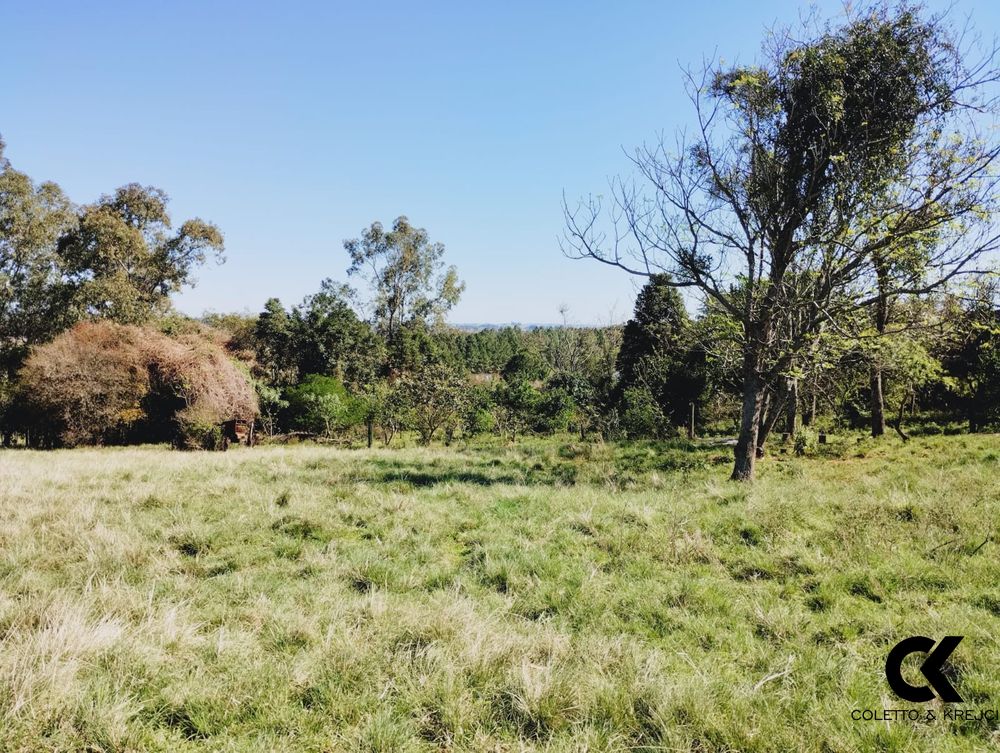 Sítio, 3 quartos, 1 m² - Foto 20