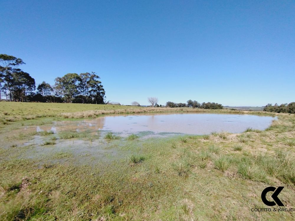 Sítio, 3 quartos, 1 m² - Foto 9