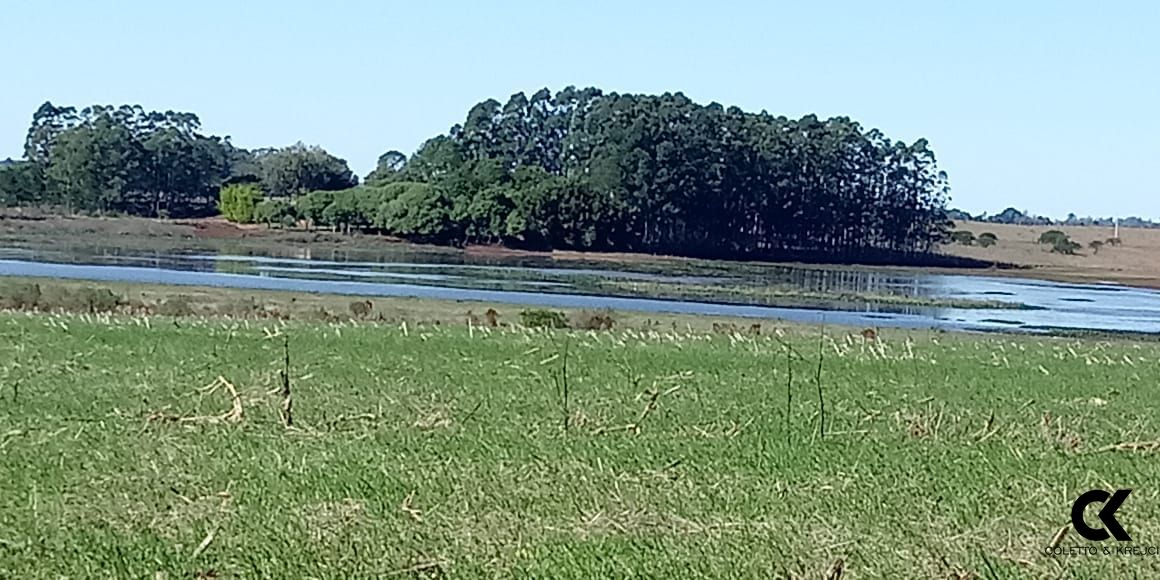 Fazenda à venda com 2 quartos, 150m² - Foto 10