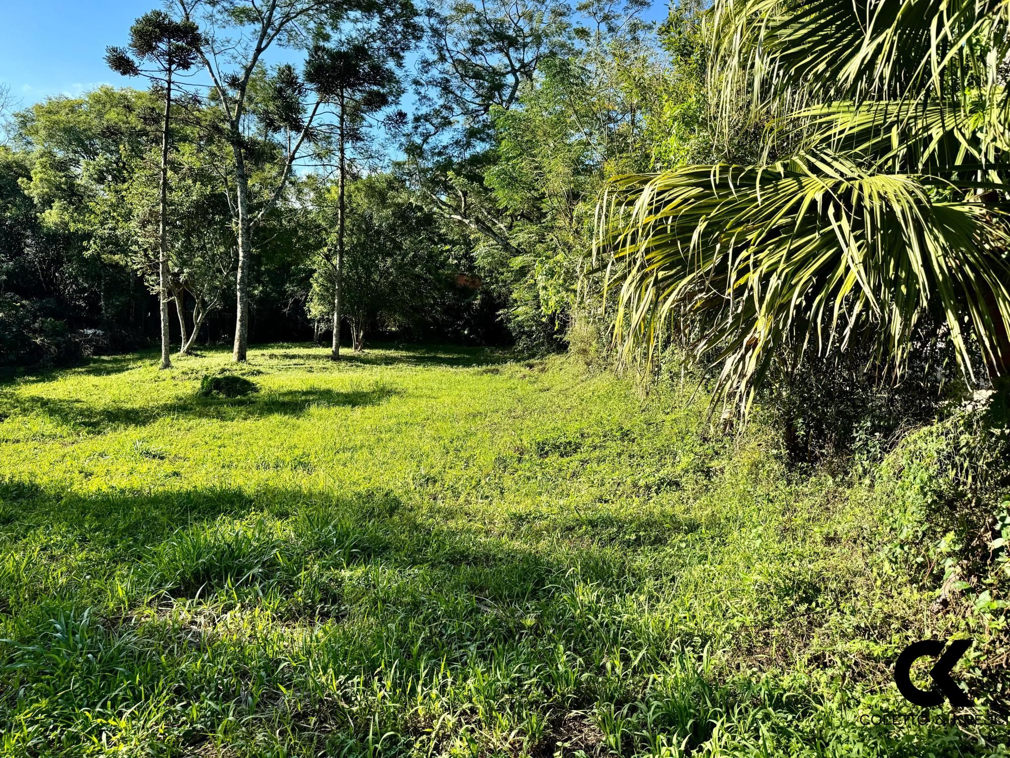 Terreno à venda, 750m² - Foto 1