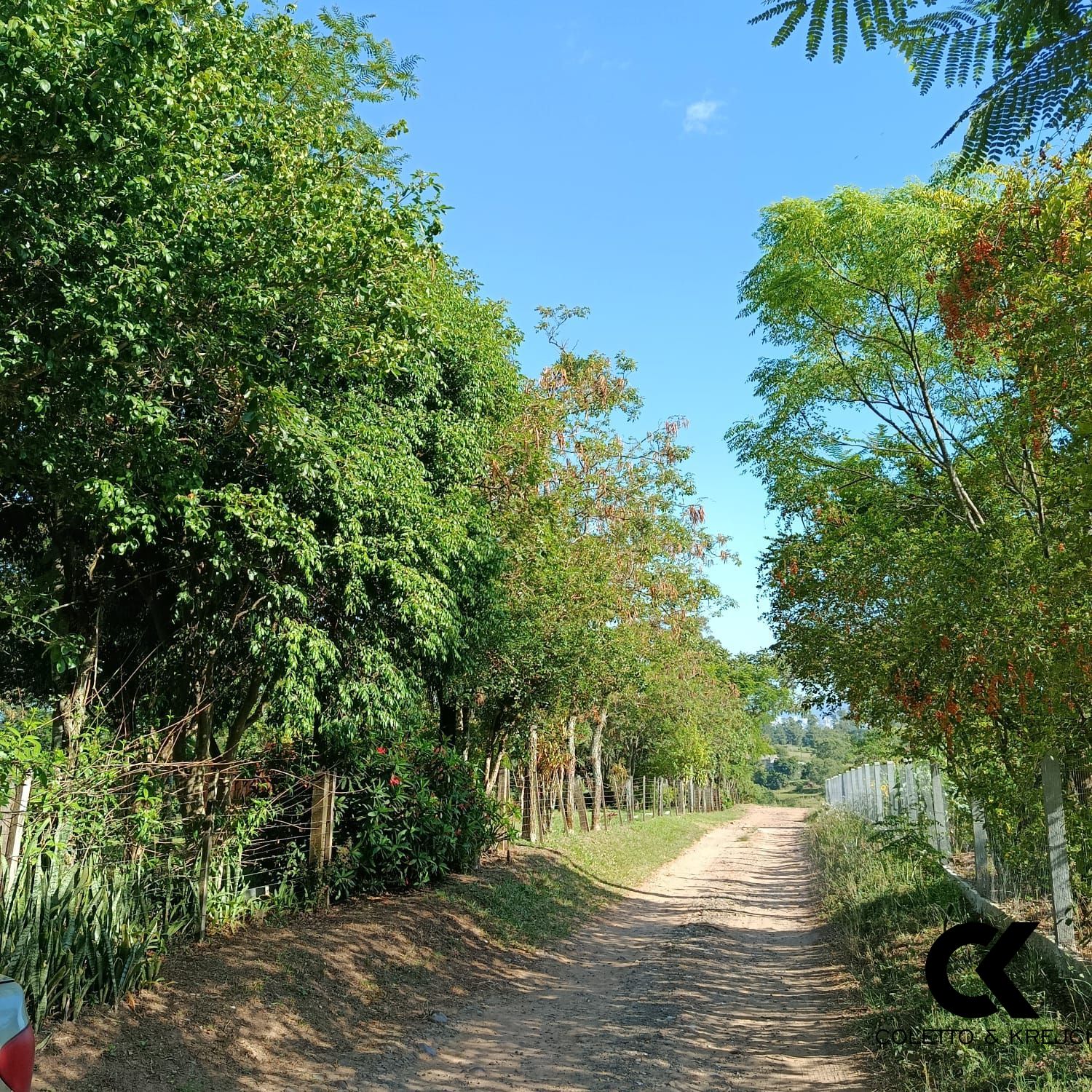 Sítio, 2 quartos, 2 hectares - Foto 2