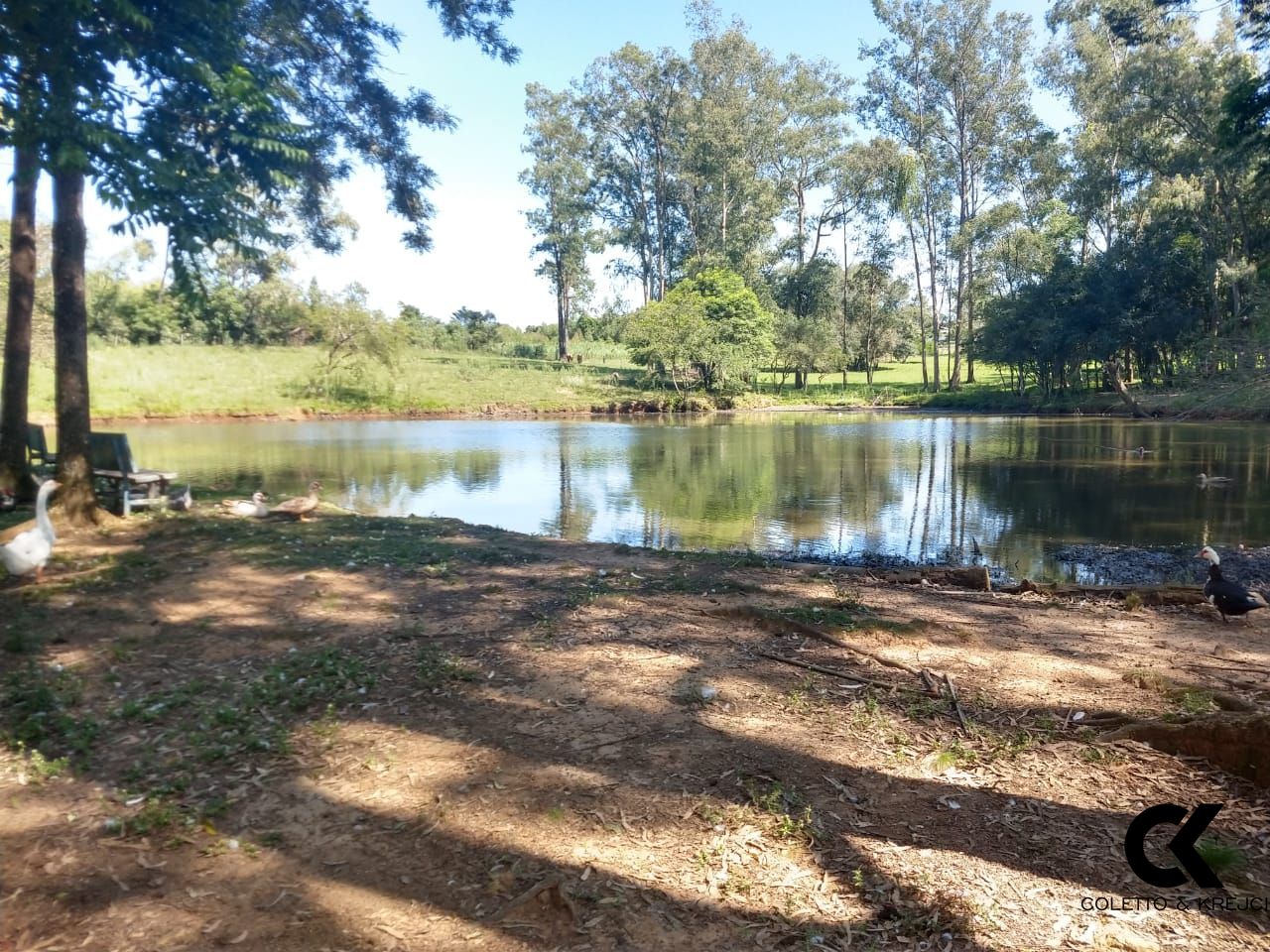 Fazenda à venda com 4 quartos, 480m² - Foto 6