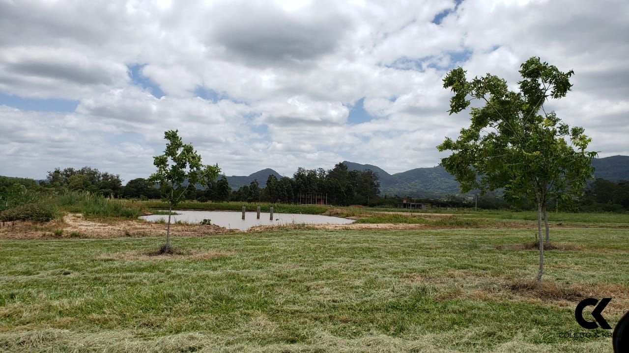 Fazenda à venda com 3 quartos, 110000m² - Foto 5