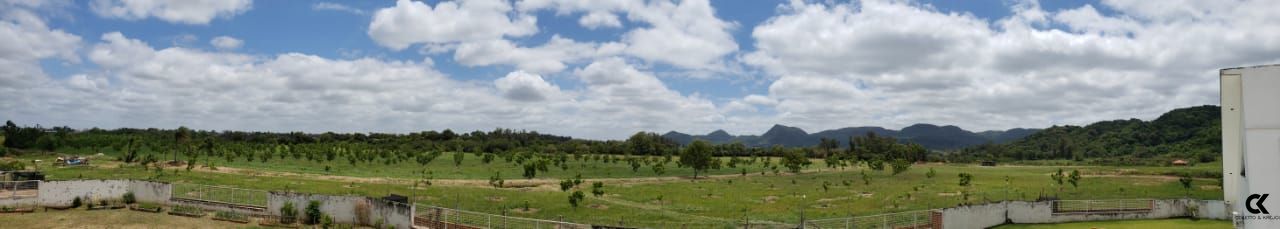 Fazenda à venda com 3 quartos, 110000m² - Foto 4