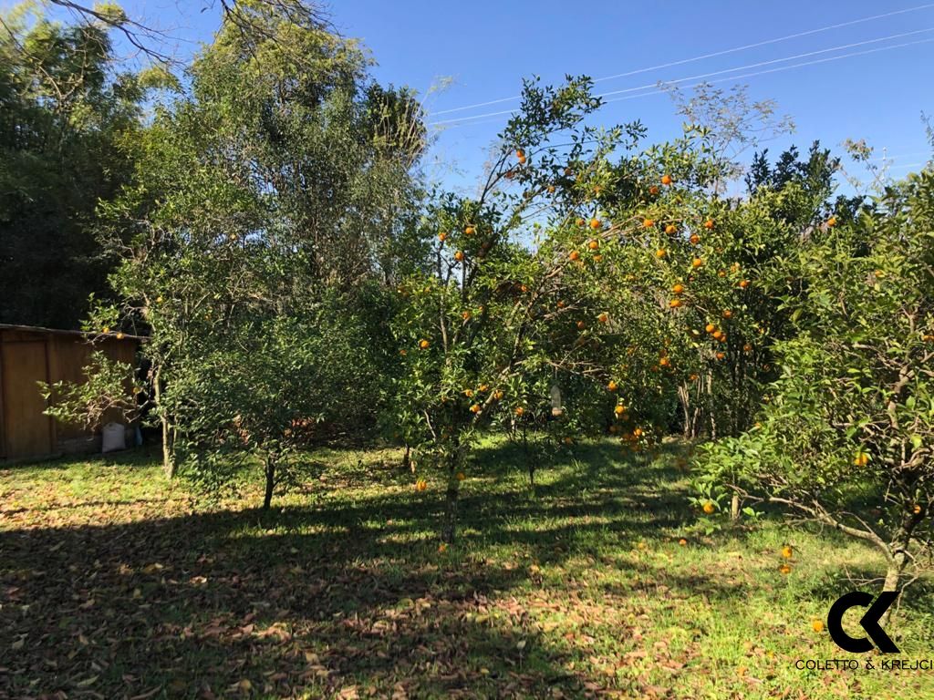 Fazenda à venda com 4 quartos, 120m² - Foto 36