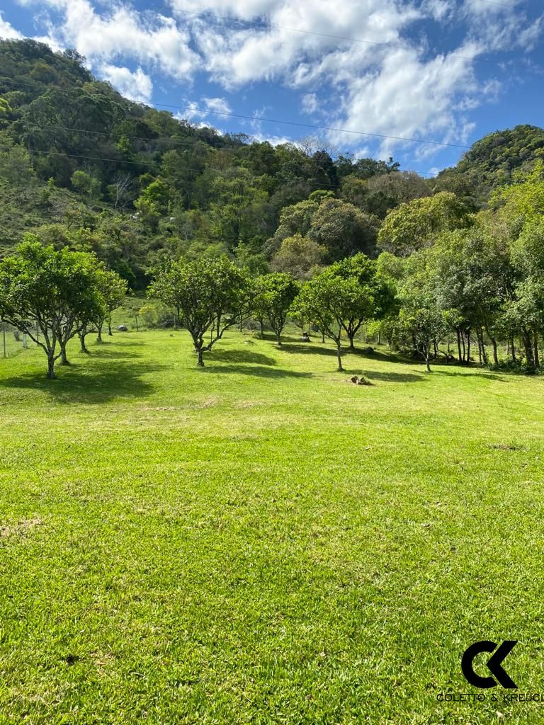 Fazenda à venda com 3 quartos, 50000m² - Foto 22