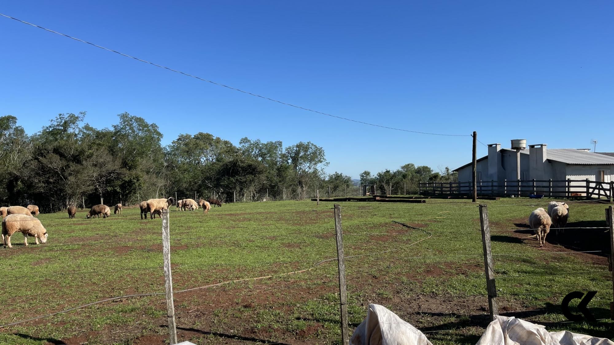 Loteamento e Condomínio à venda, 229000m² - Foto 32