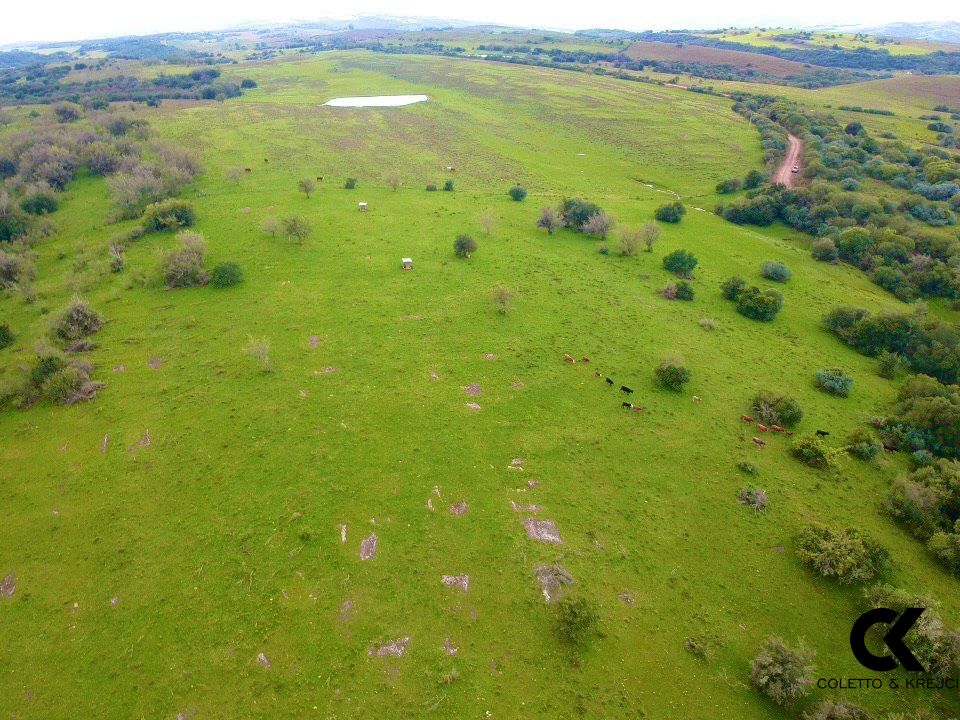 Sítio, 108 hectares - Foto 3