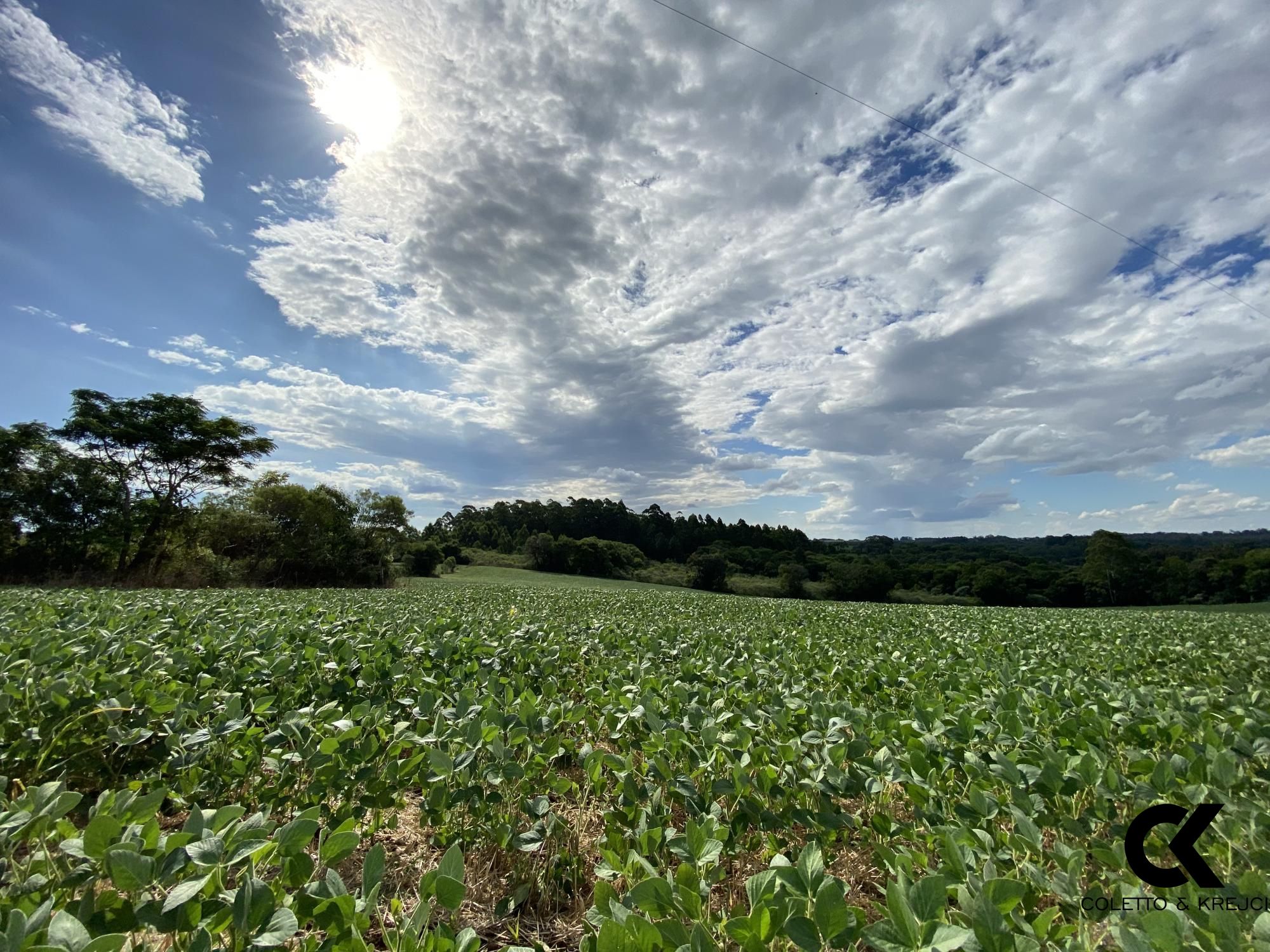 Loteamento e Condomínio à venda, 78000m² - Foto 7