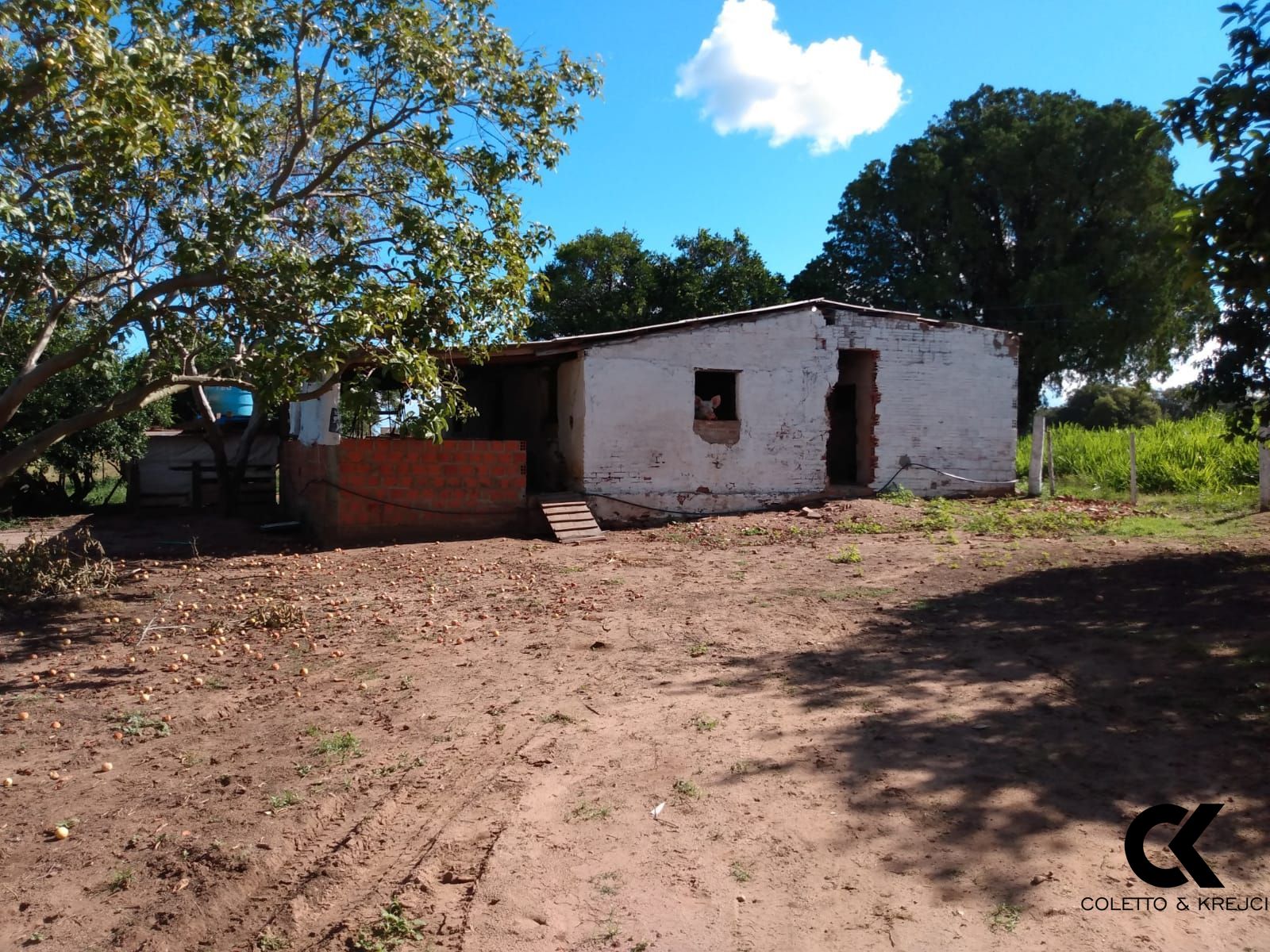 Fazenda à venda com 3 quartos, 30000m² - Foto 8