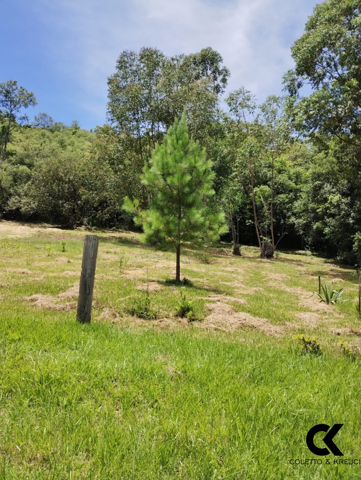 Terreno à venda, 5280m² - Foto 4