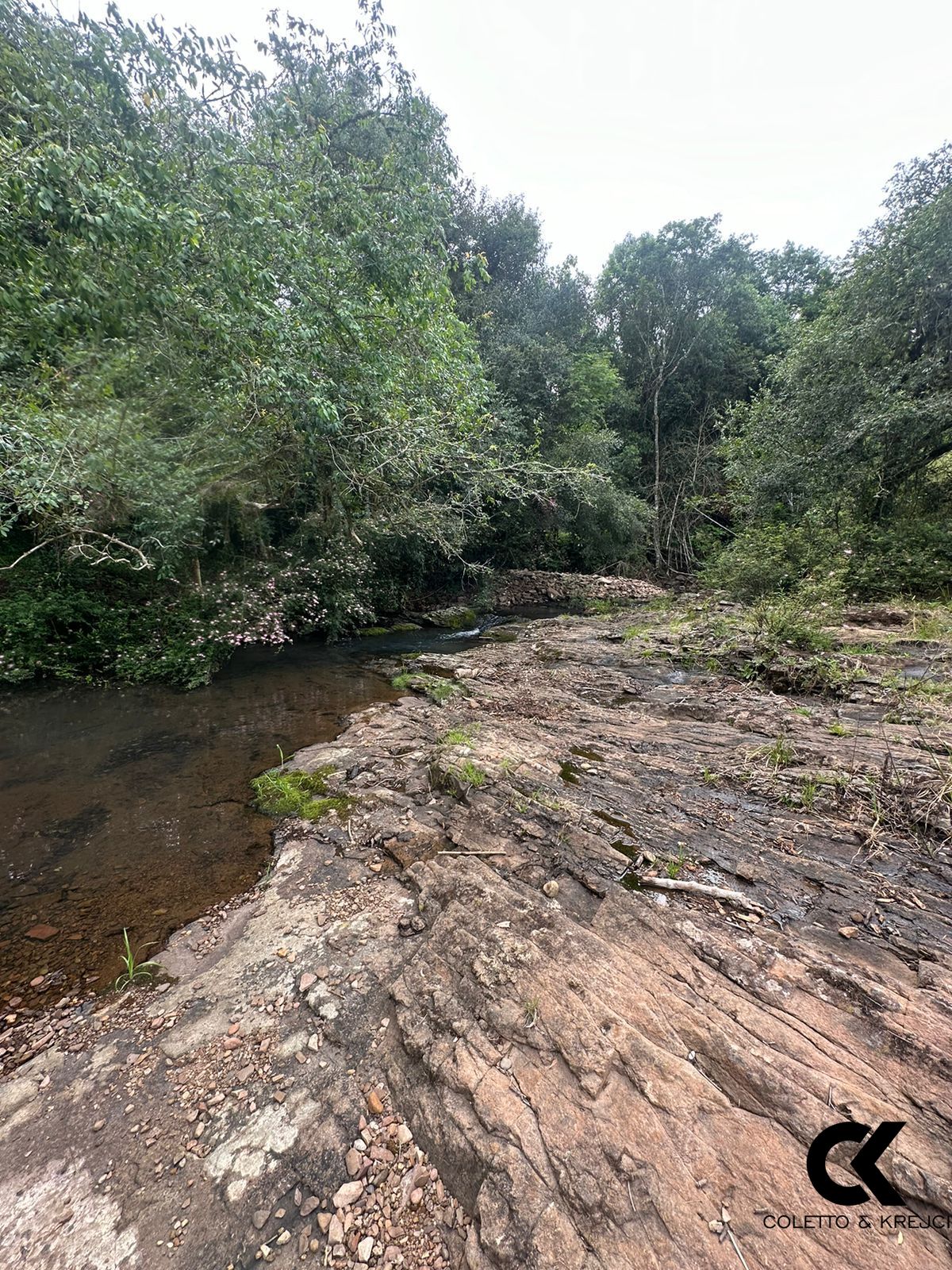 Fazenda à venda, 48400m² - Foto 15