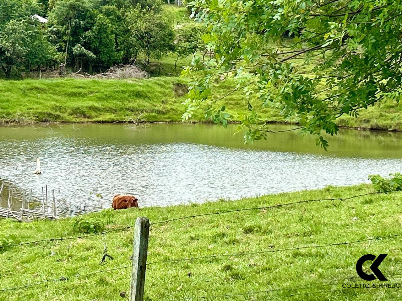 Fazenda à venda com 3 quartos, 15000m² - Foto 1