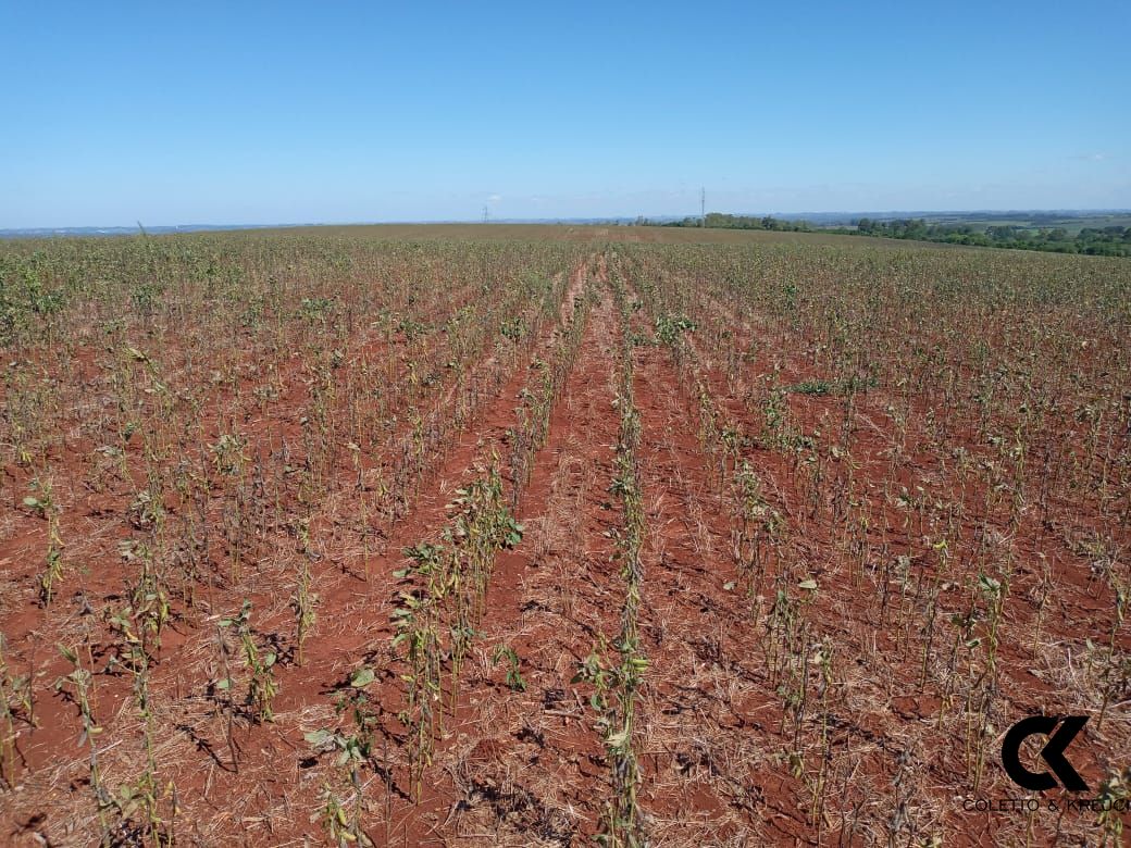 Loteamento e Condomínio à venda, 480000m² - Foto 2