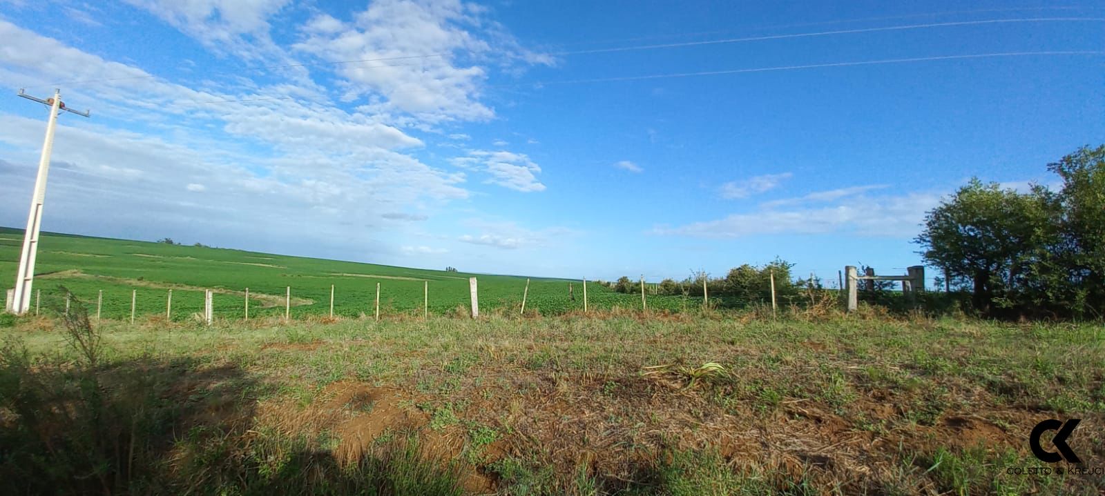 Fazenda à venda com 3 quartos, 20000000m² - Foto 7