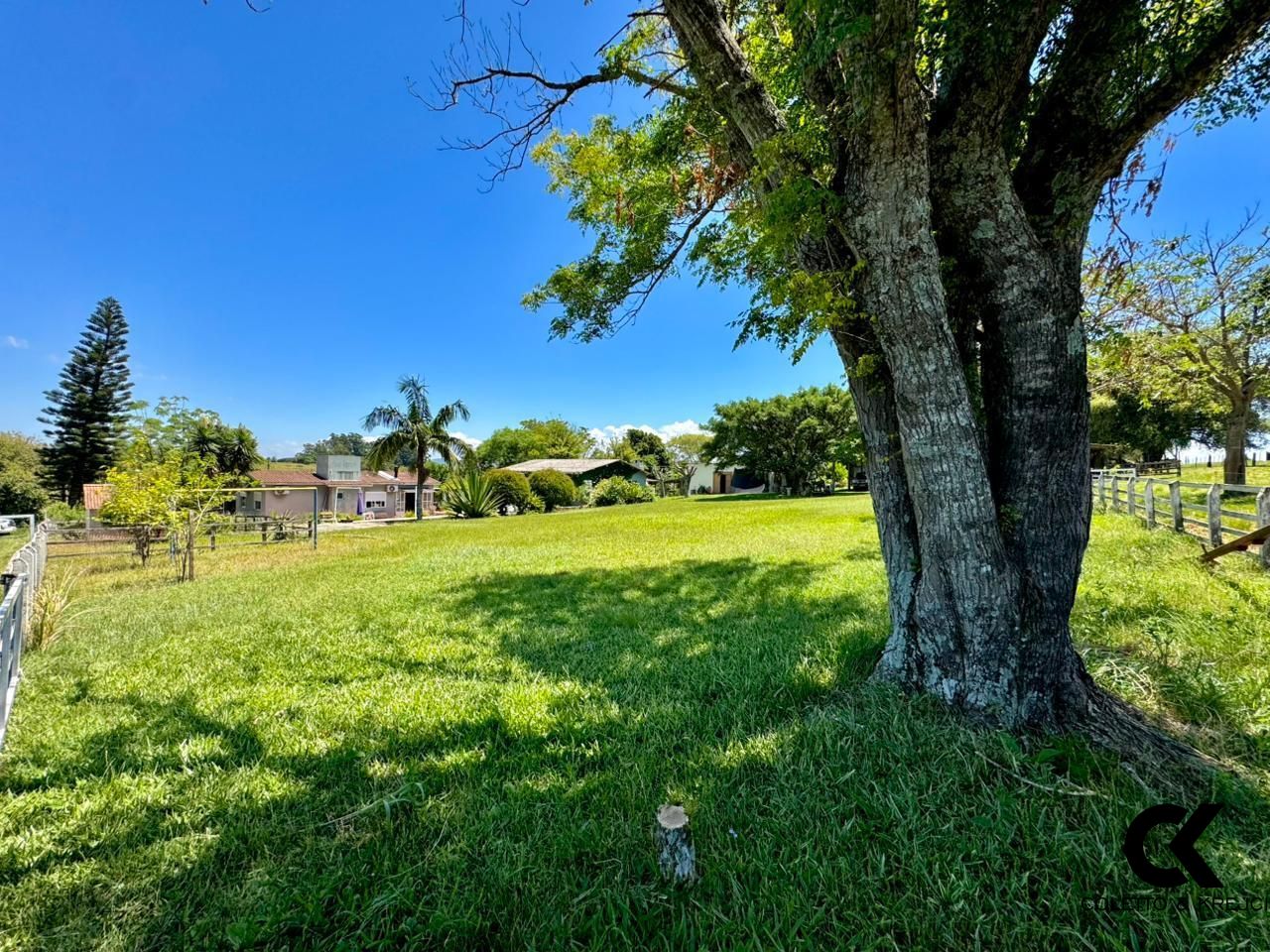 Sítio, 3 quartos, 7 hectares - Foto 5