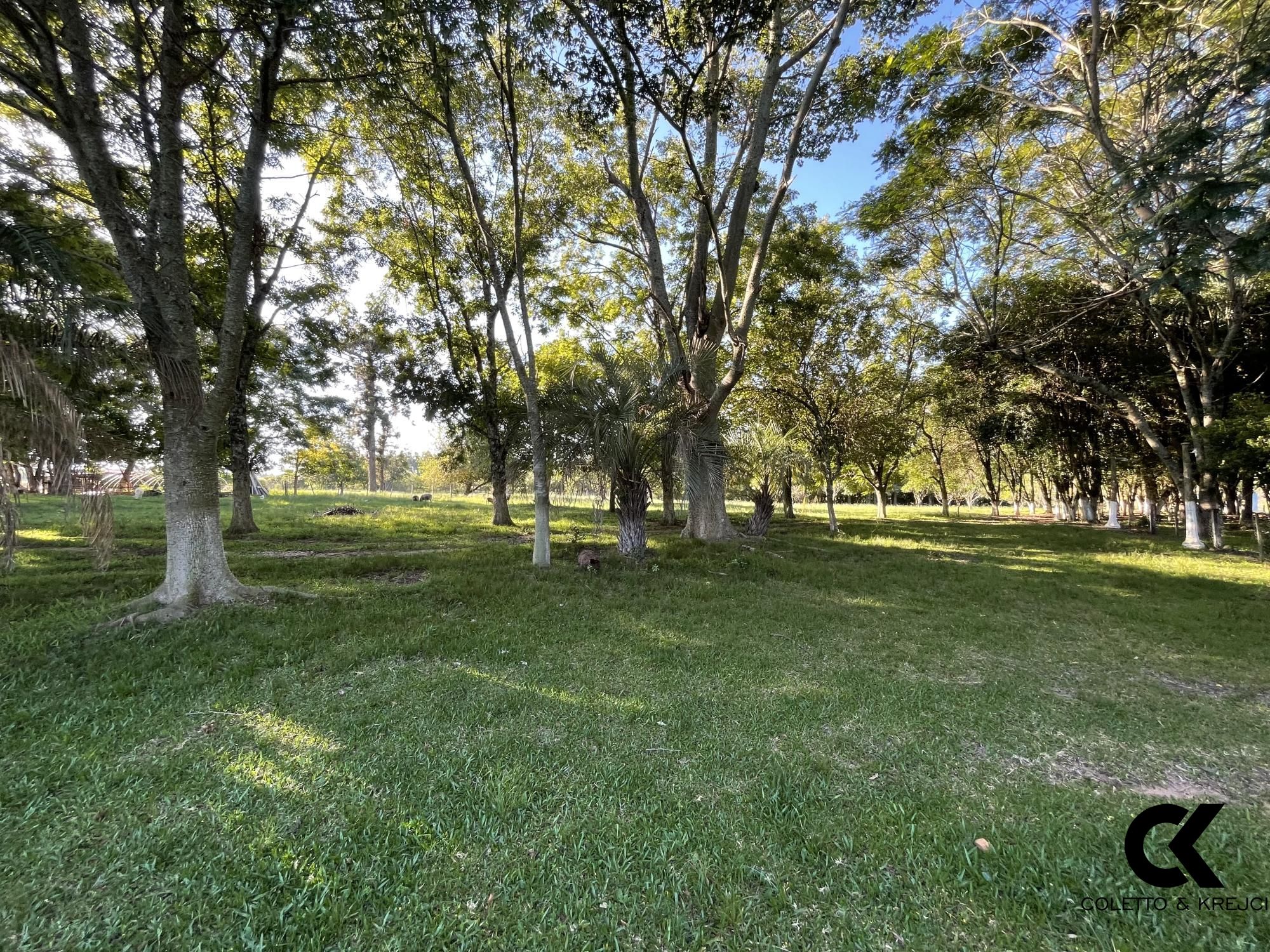 Fazenda à venda com 3 quartos, 146000m² - Foto 9