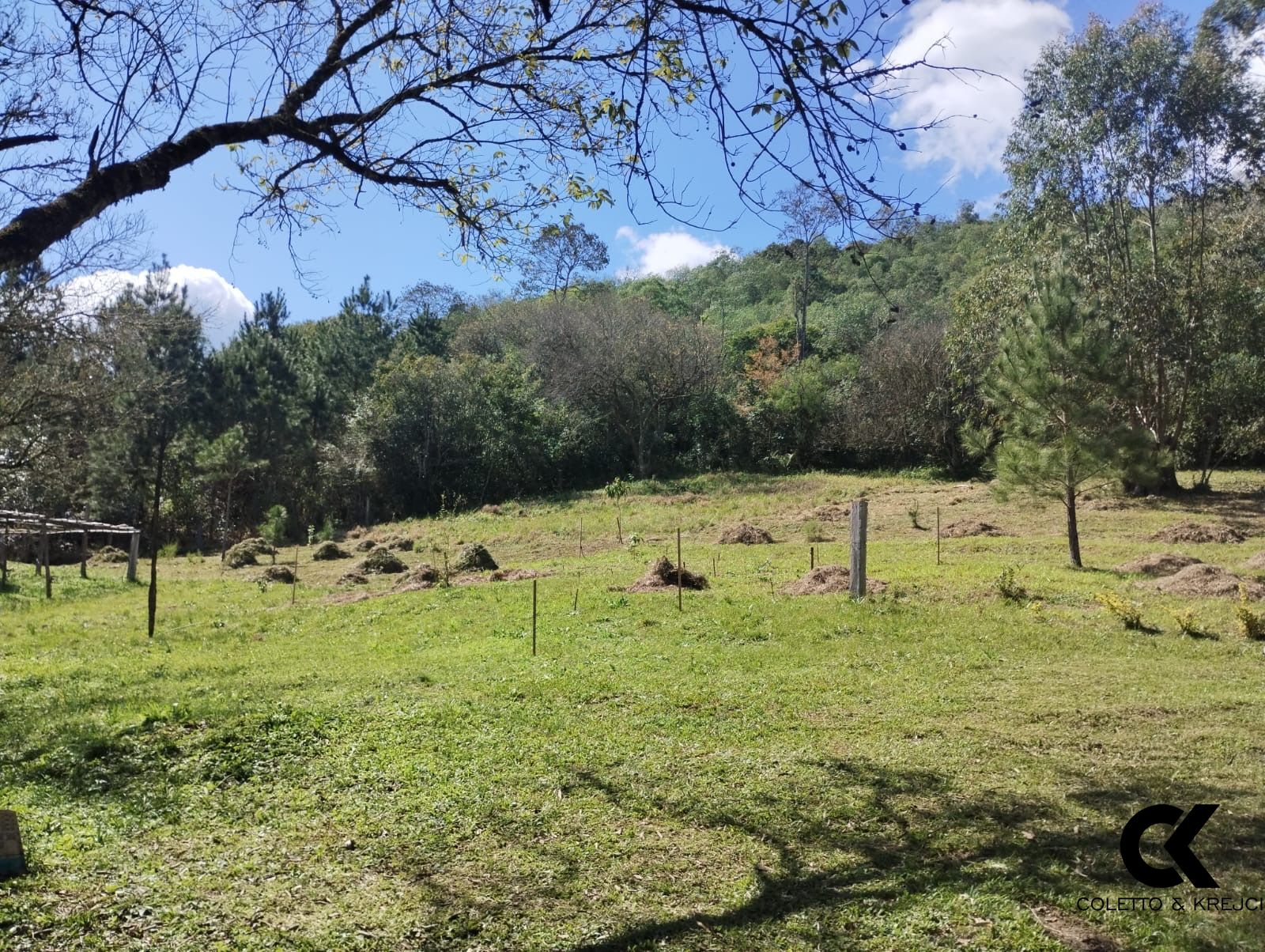 Terreno à venda, 5280m² - Foto 5