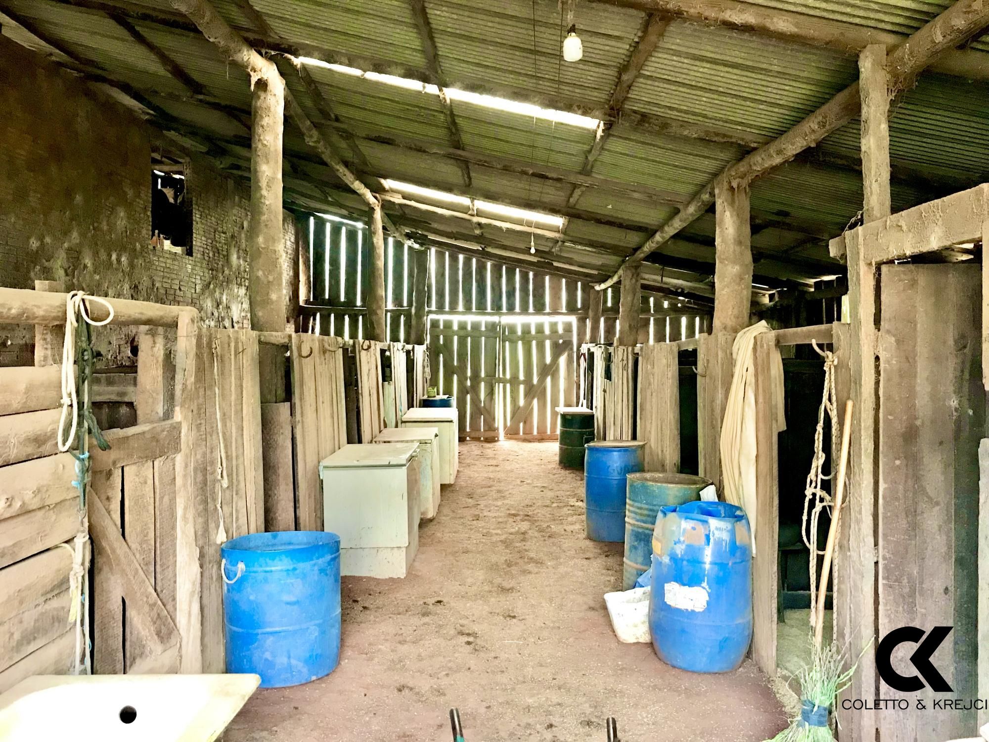 Fazenda à venda com 3 quartos, 185000m² - Foto 8