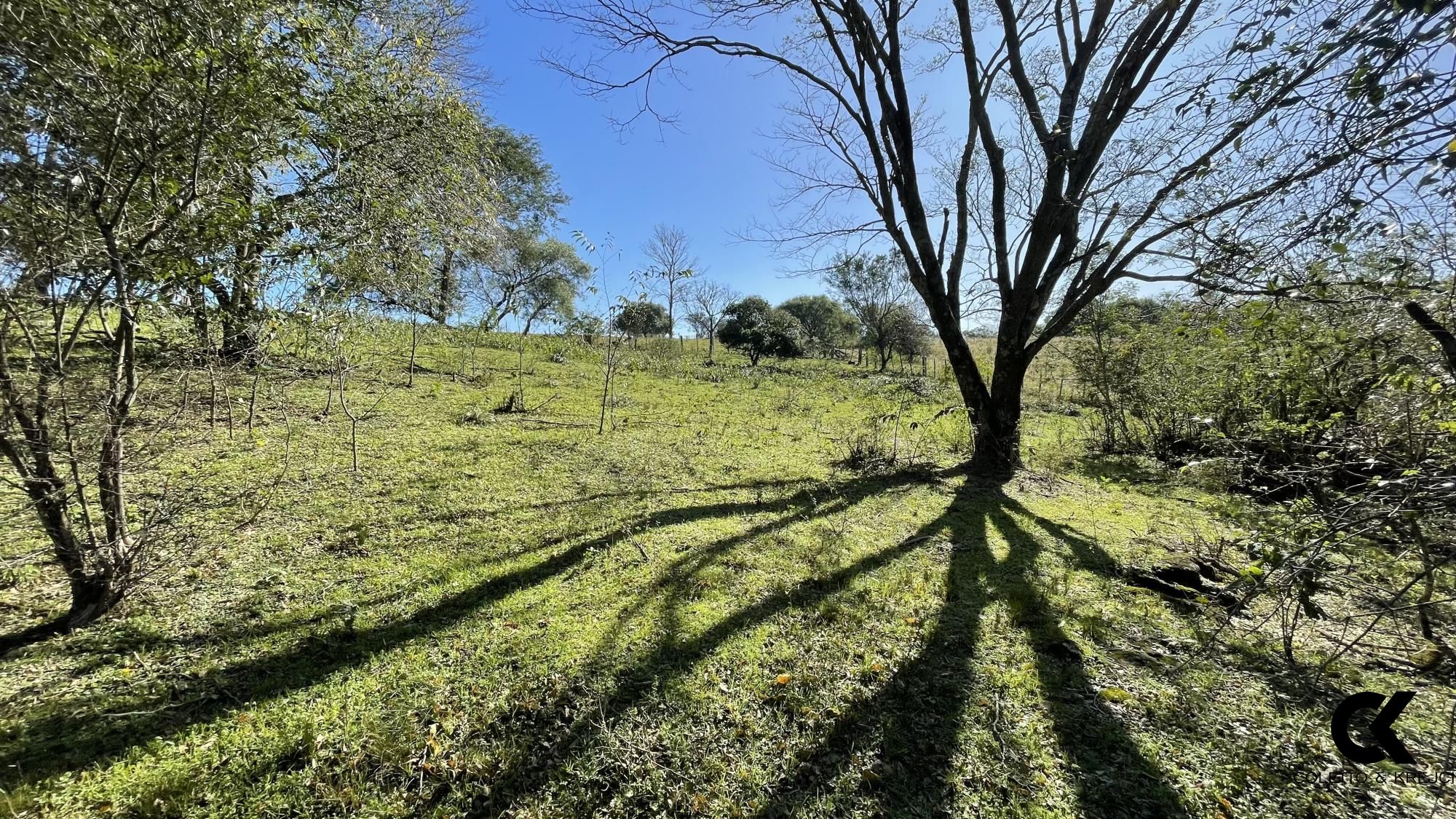 Loteamento e Condomínio à venda, 229000m² - Foto 47