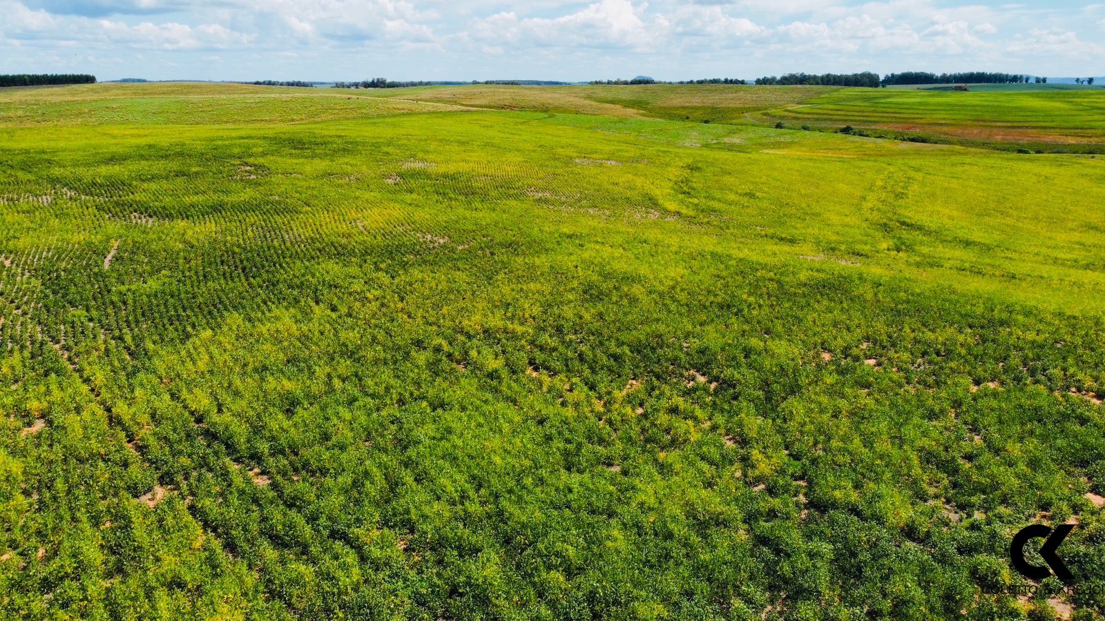 Loteamento e Condomínio à venda, 4300000m² - Foto 2