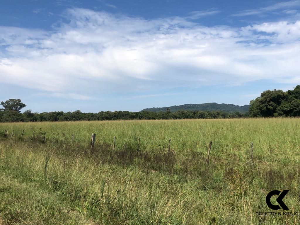 Fazenda à venda com 3 quartos, 32750000m² - Foto 11