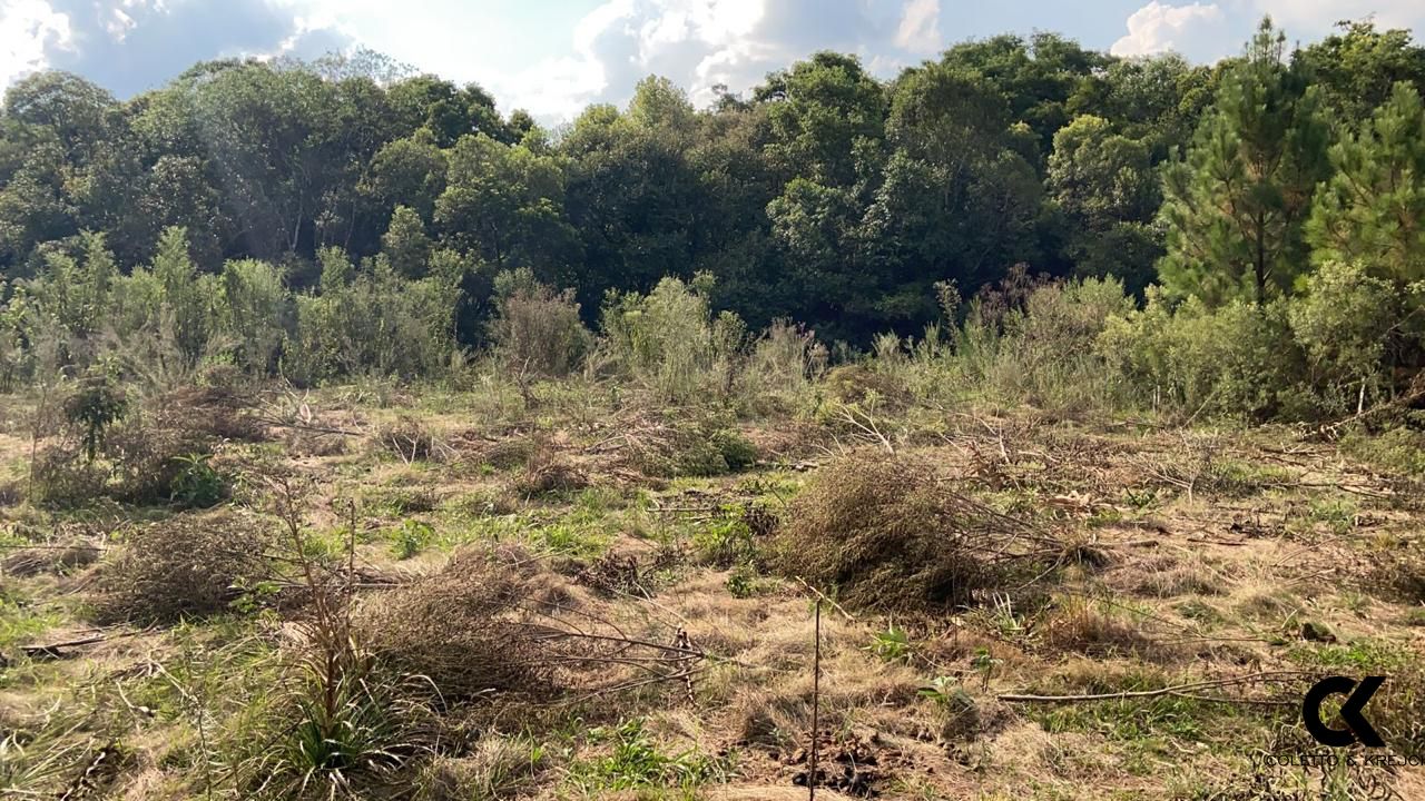 Terreno à venda, 1000m² - Foto 4