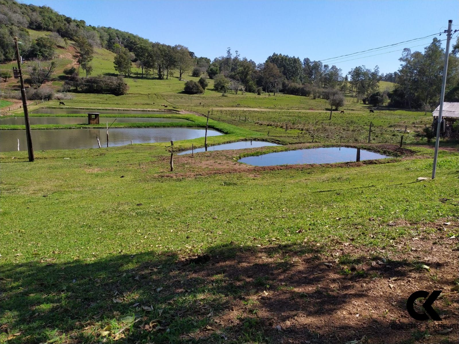 Sítio, 2 quartos, 4 hectares - Foto 12