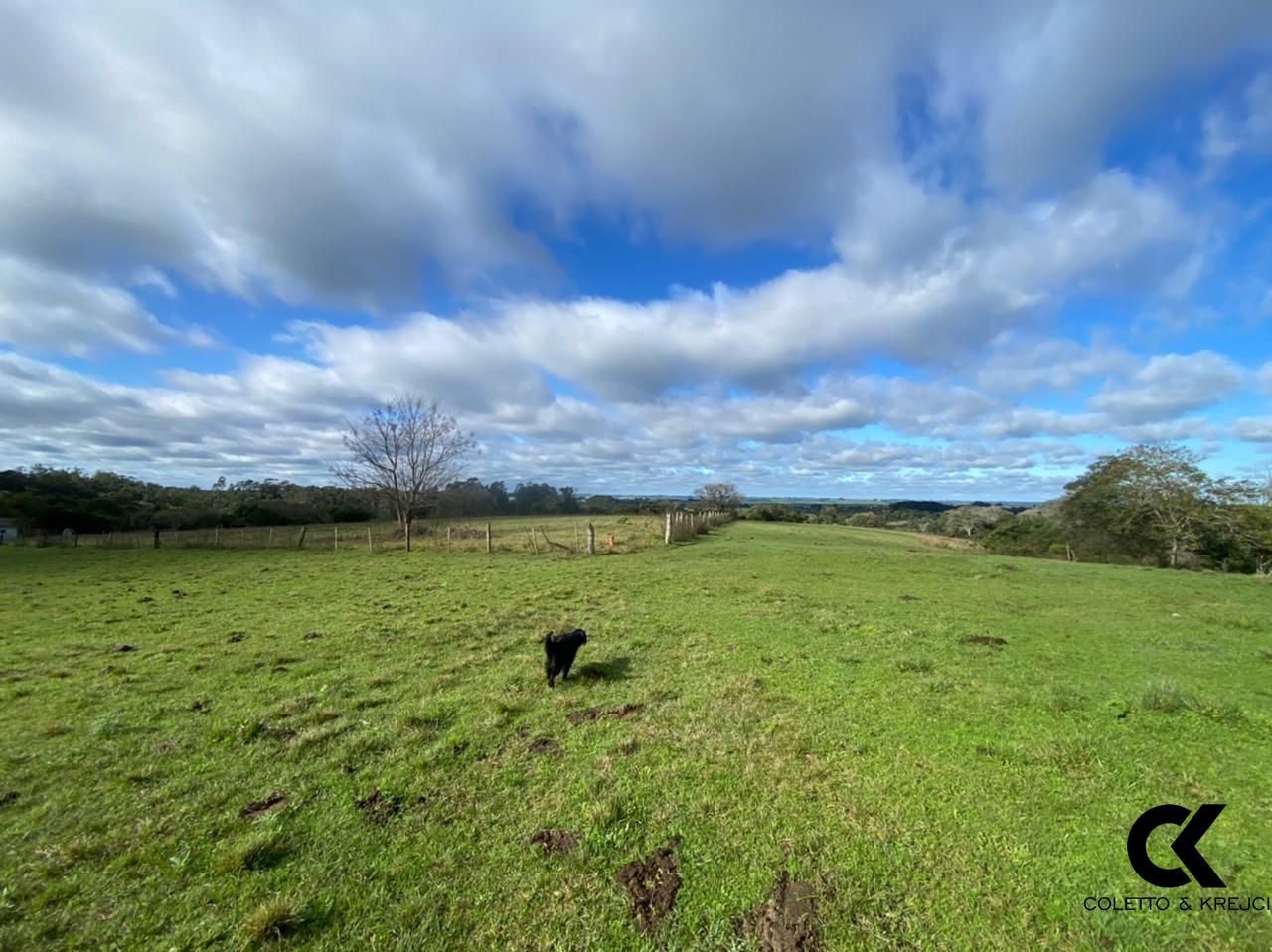 Loteamento e Condomínio à venda, 460000m² - Foto 2