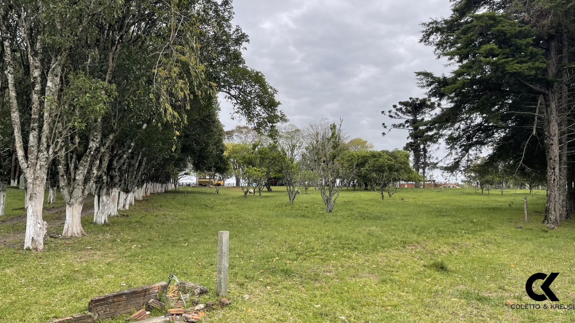 Fazenda à venda com 3 quartos, 146000m² - Foto 3