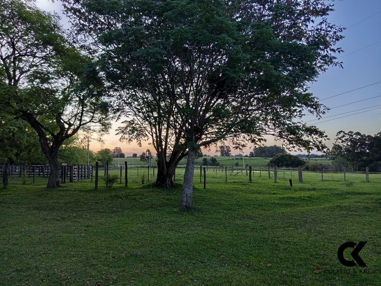 Sítio, 2 quartos, 50000 hectares - Foto 12