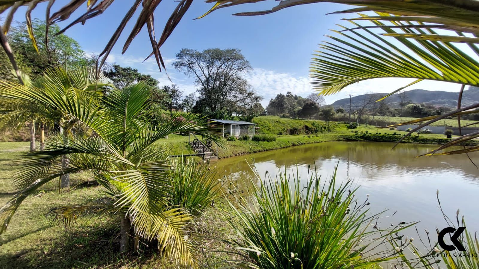 Fazenda à venda com 3 quartos, 250000000m² - Foto 7