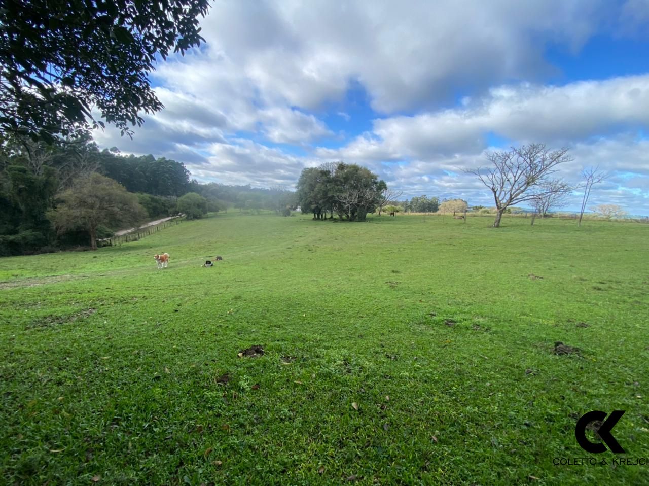 Loteamento e Condomínio à venda, 460000m² - Foto 3