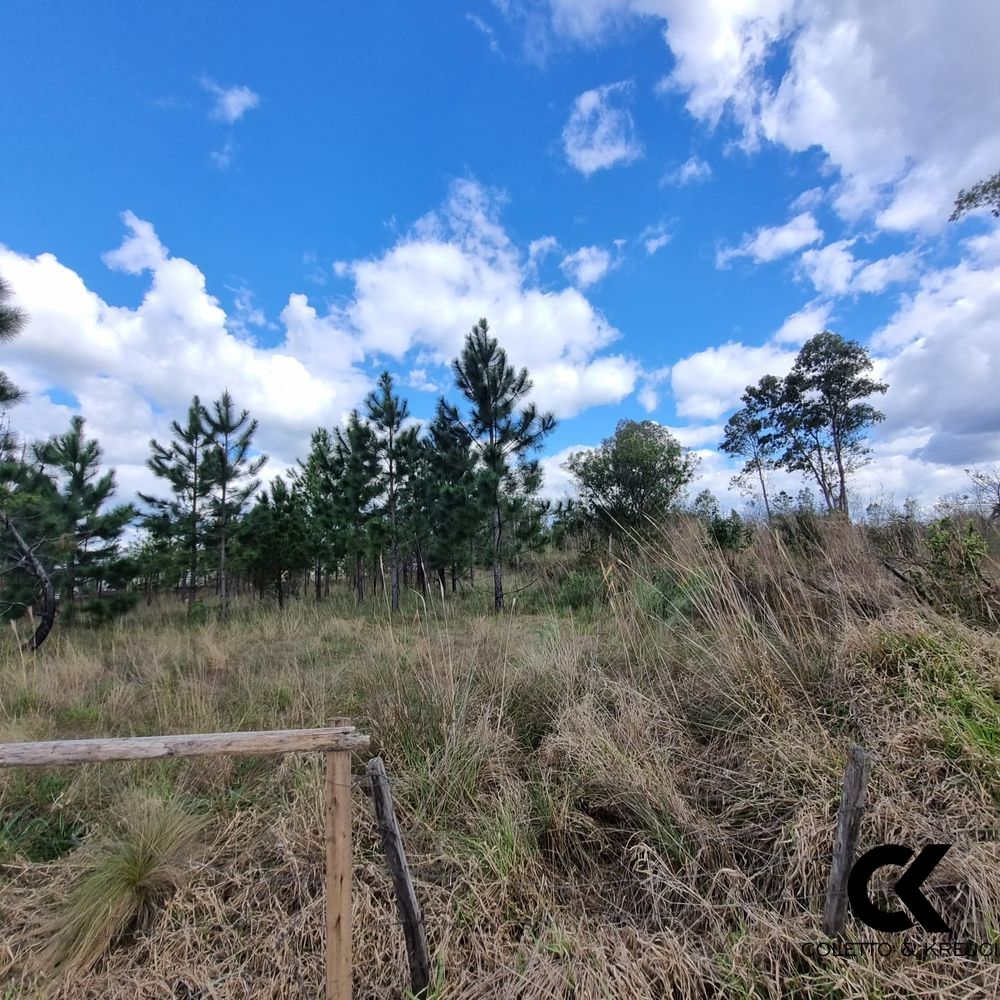 Loteamento e Condomínio, 3100 m² - Foto 5