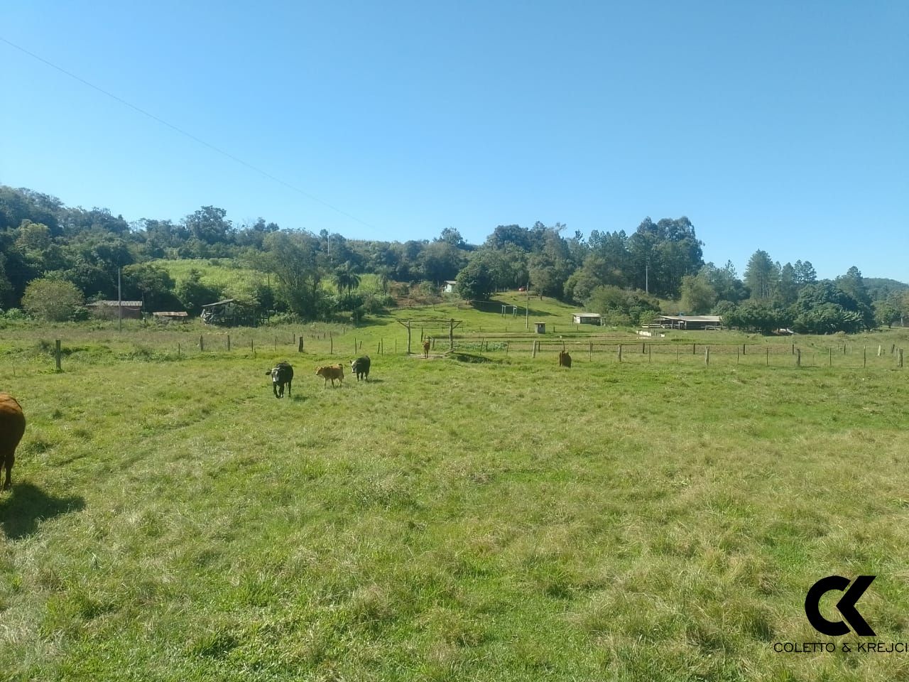 Fazenda à venda com 2 quartos, 42m² - Foto 18