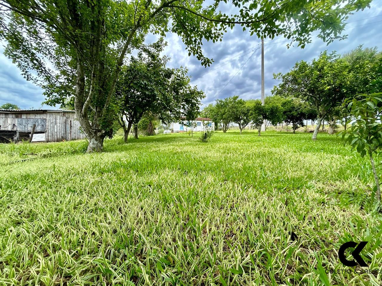 Fazenda à venda com 3 quartos, 15000m² - Foto 19