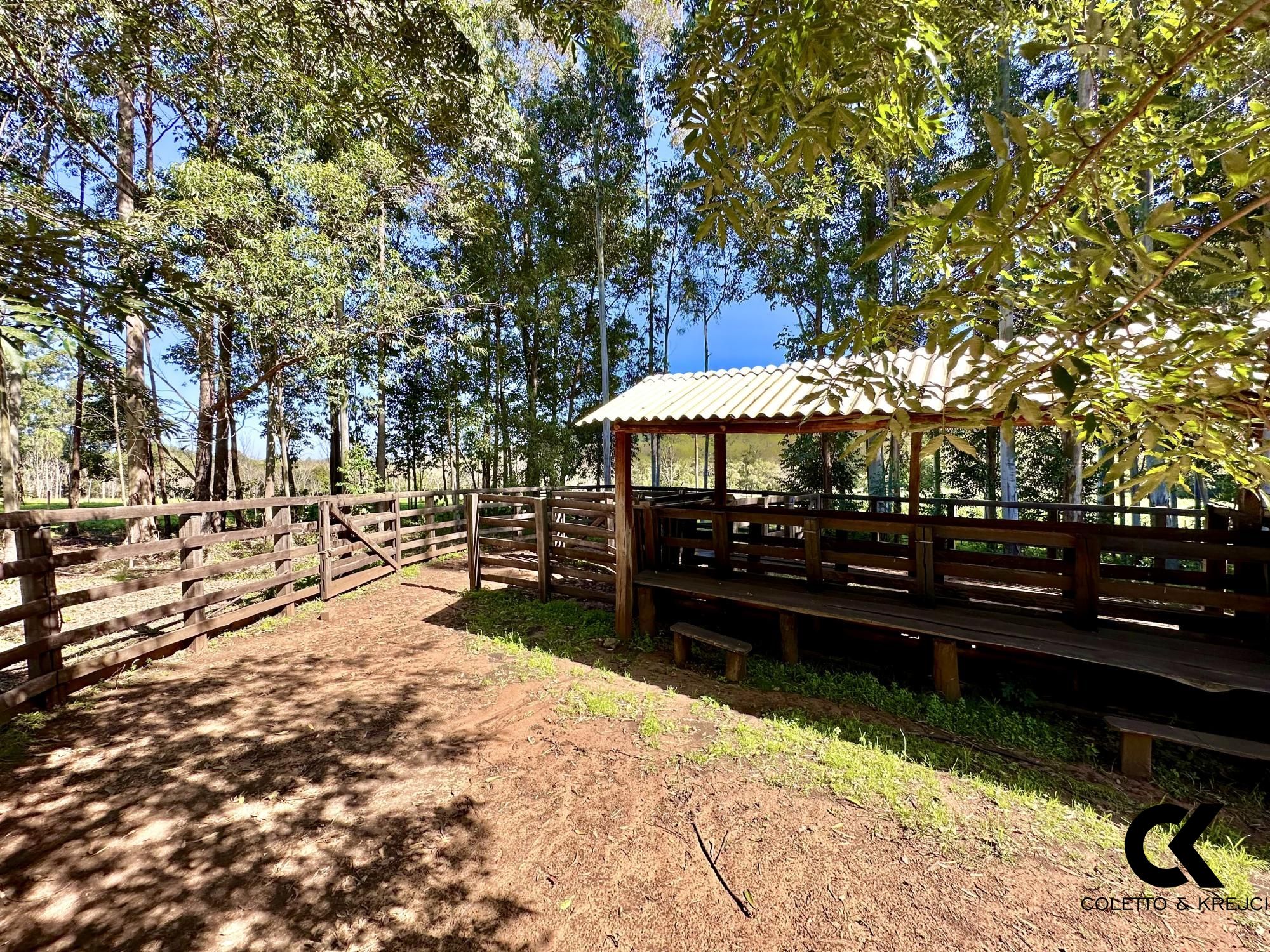 Fazenda à venda com 4 quartos, 240000m² - Foto 15