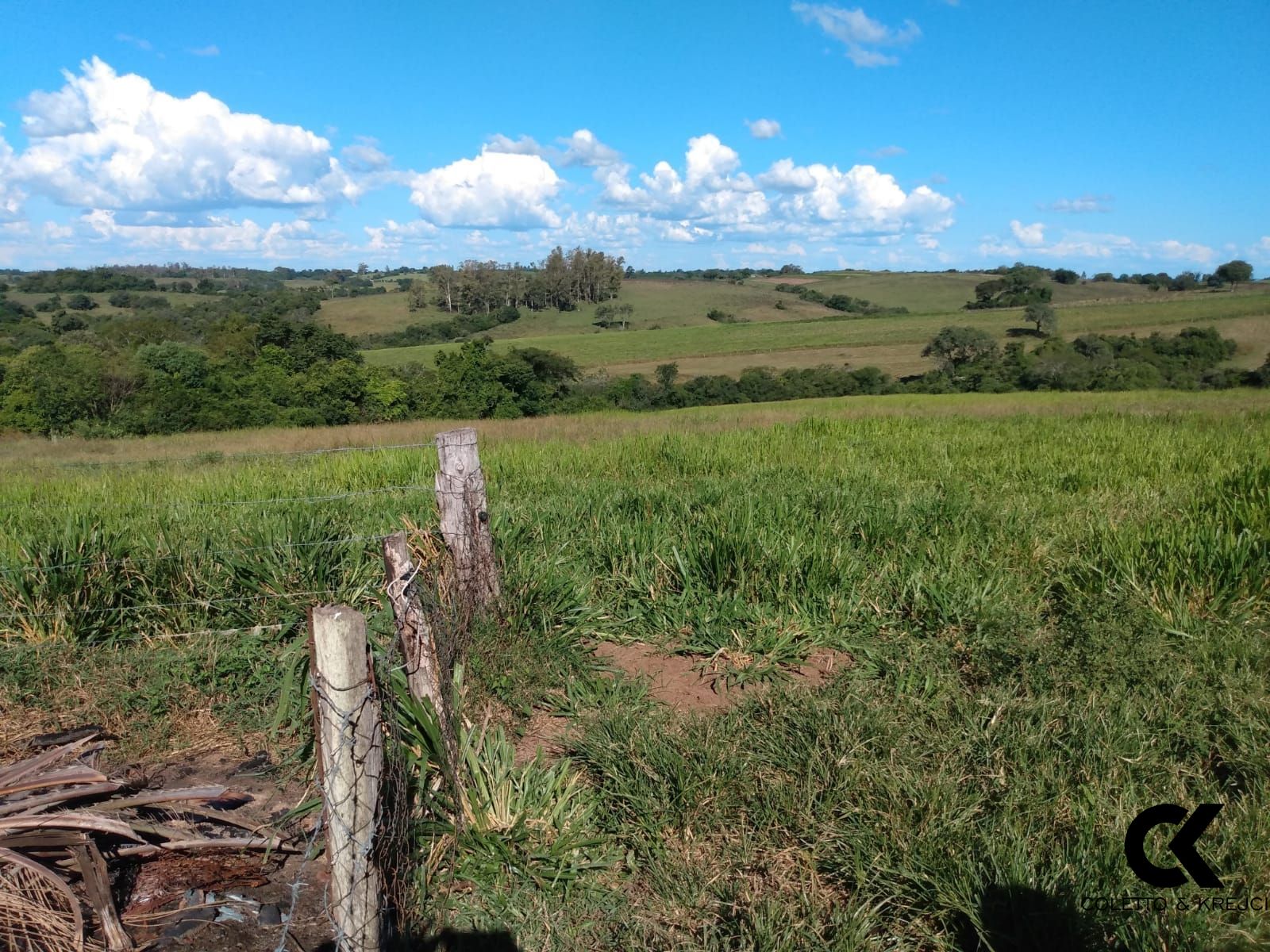 Fazenda à venda com 3 quartos, 30000m² - Foto 19