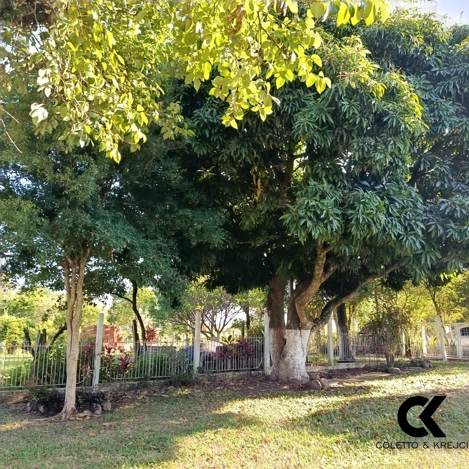 Sítio, 2 quartos, 2 hectares - Foto 12