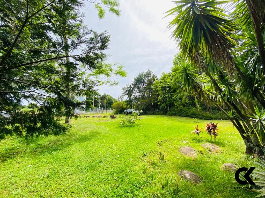 Fazenda à venda com 3 quartos, 120m² - Foto 10