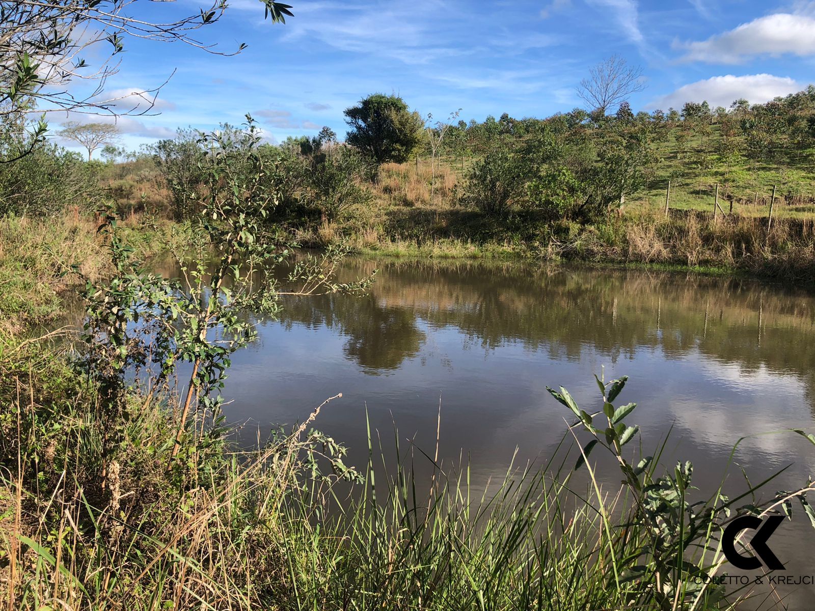 Fazenda à venda com 1 quarto, 10000m² - Foto 16