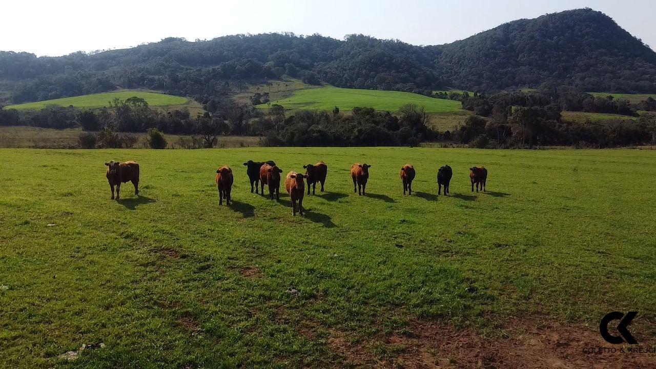 Loteamento e Condomínio à venda, 330m² - Foto 1